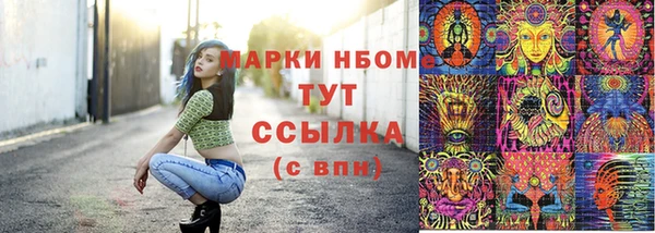 гидра Приозерск