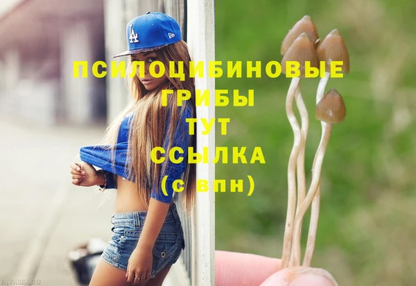 бошки Алексеевка