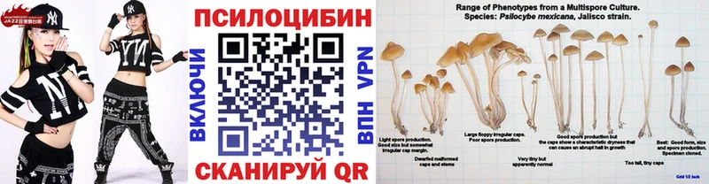 Галлюциногенные грибы MAGIC MUSHROOMS  Зуевка 